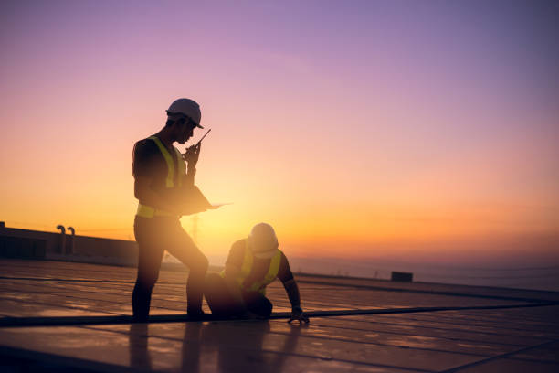 Best Roof Gutter Cleaning  in Senoia, GA