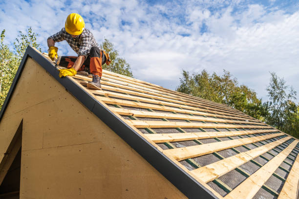 Best Storm Damage Roof Repair  in Senoia, GA